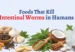 Foods That Kill Intestinal Worms in Humans