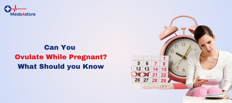 Can You Ovulate While Pregnant? What you Should Know