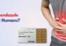 Is Fenbendazole Safe for Humans