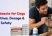Fenbendazole for Dogs in USA: Uses, Dosage & Safety